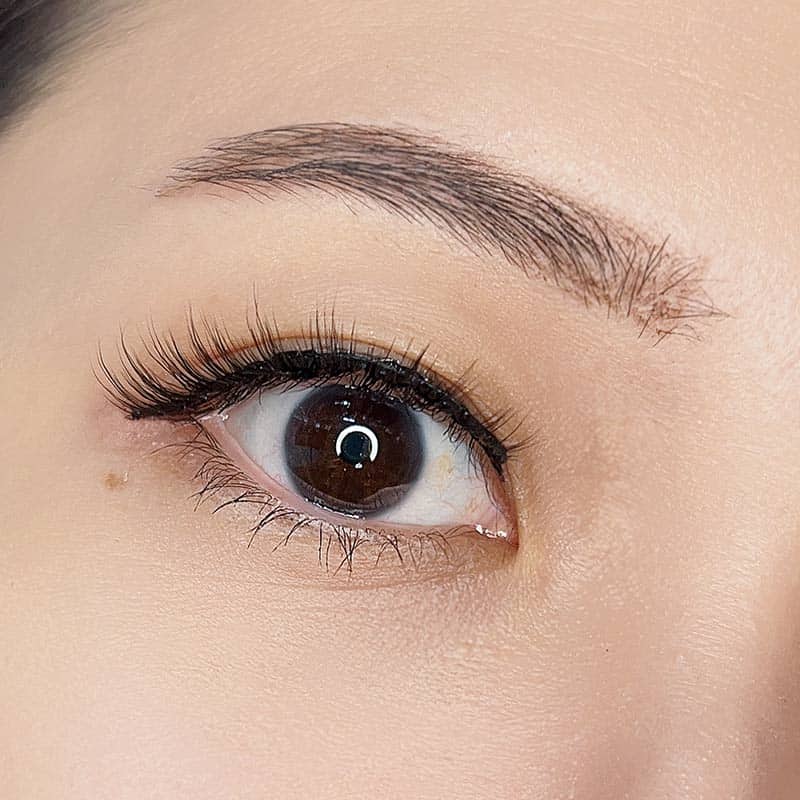 Dawn Magnetic Lash