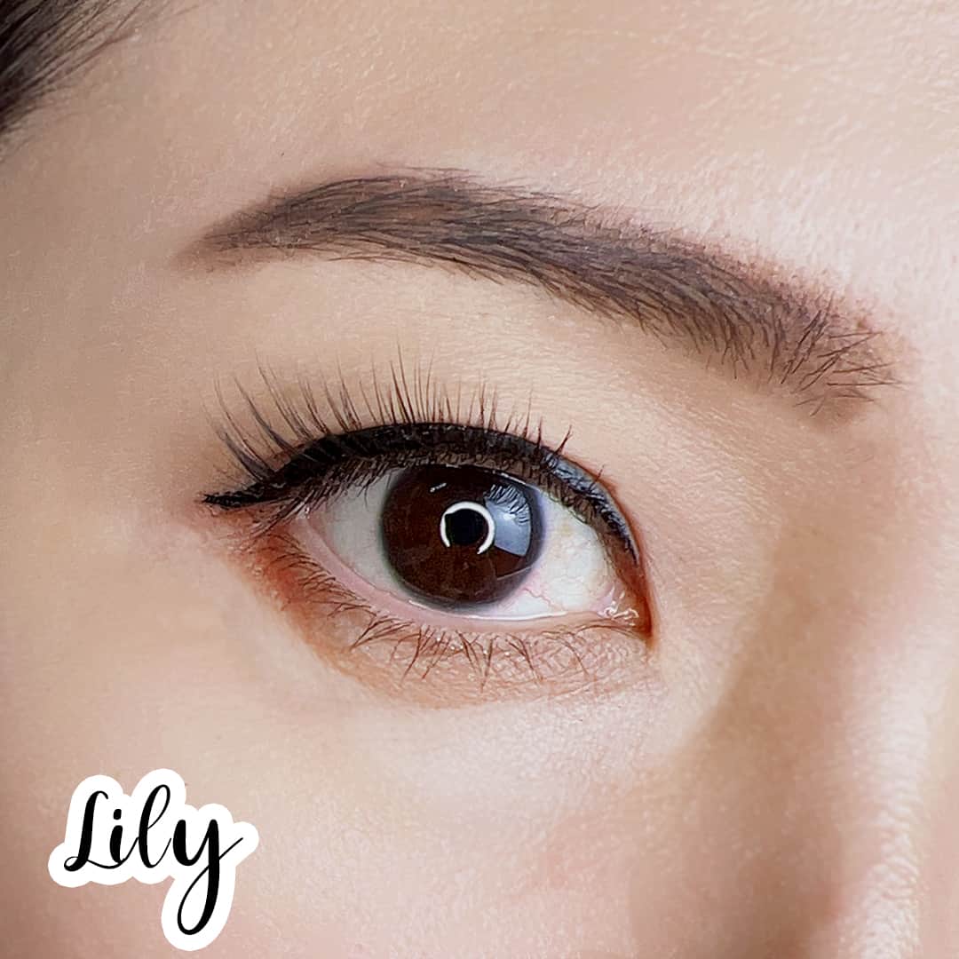 Lily Grace Accent Lash