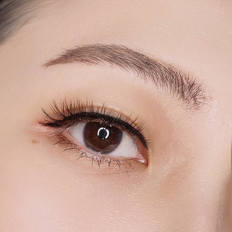 Wren Magnetic Lash